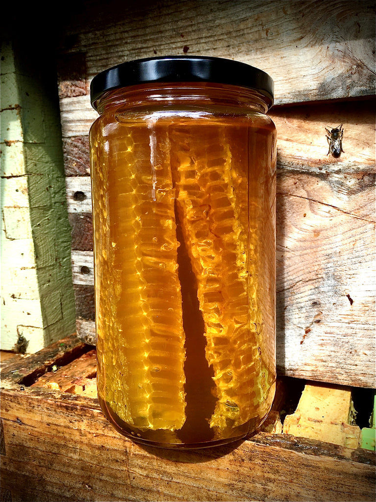Rayon de miel biologique en pot