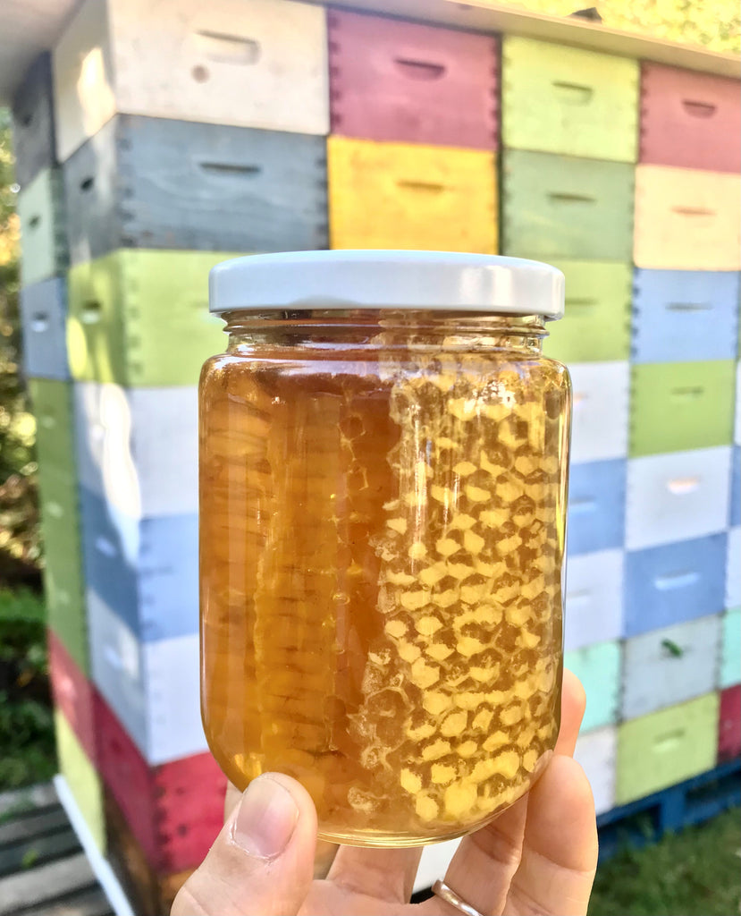 Miel d'acacia en rayon : véritables rayons de miel en pot